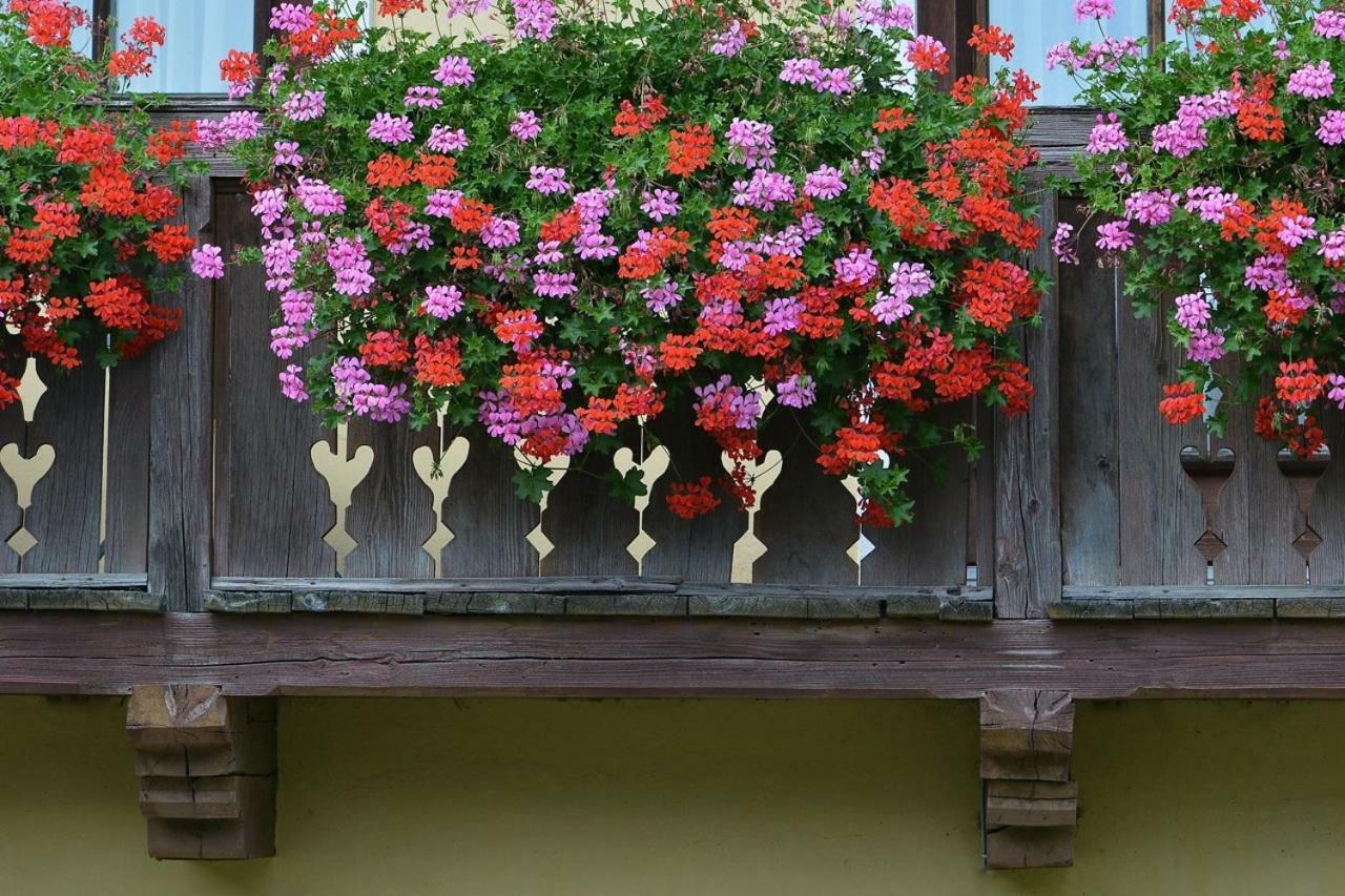 Muellnerbauer Penk Exterior foto